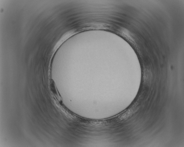 X0000062891378200602101730