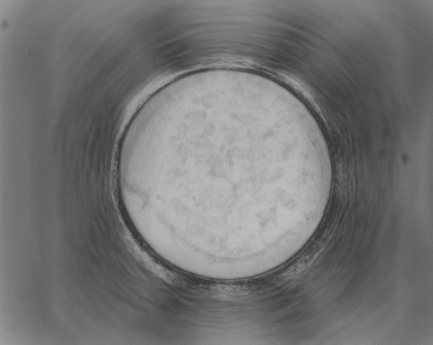 X0000062891379200602101730