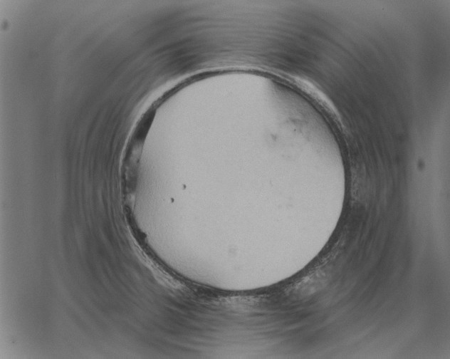 X0000062891380200602101730