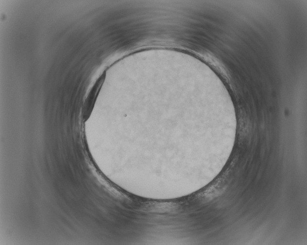 X0000062891382200602101730