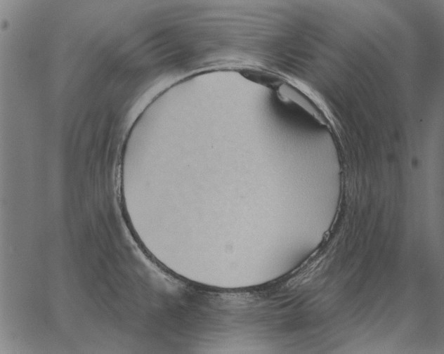 X0000062891383200602101730