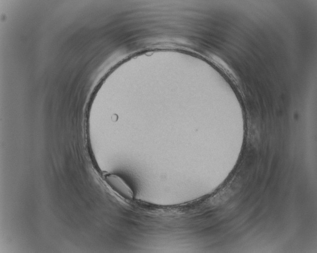 X0000062891384200602101730