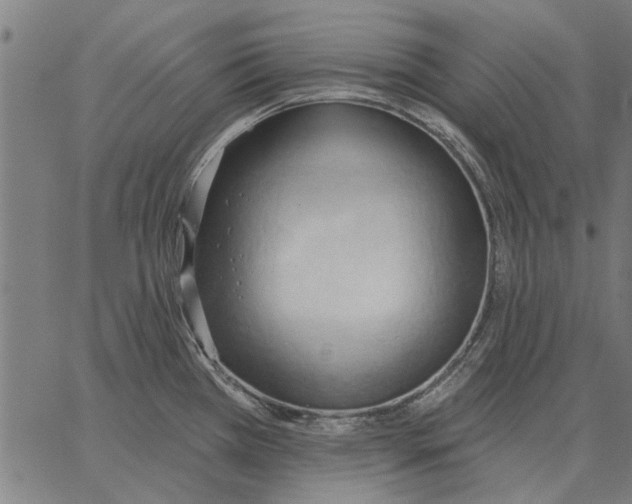 X0000062891385200602101730