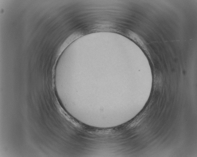 X0000062891386200602101730