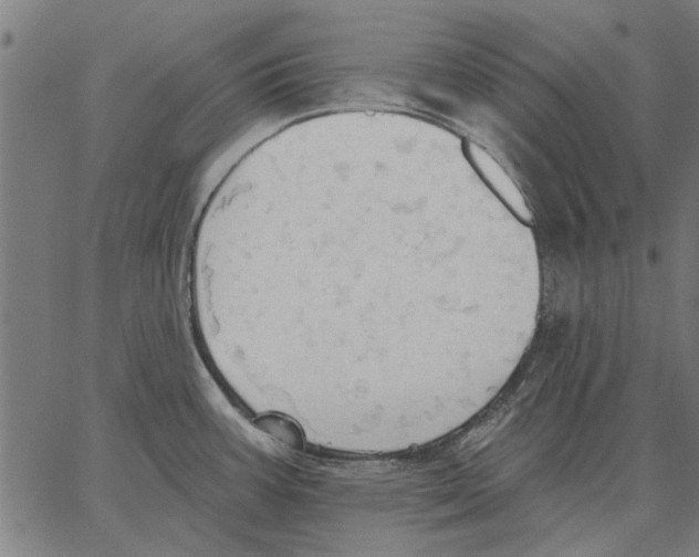 X0000062891387200602101730