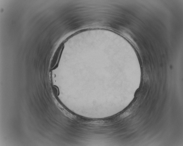 X0000062891388200602101730