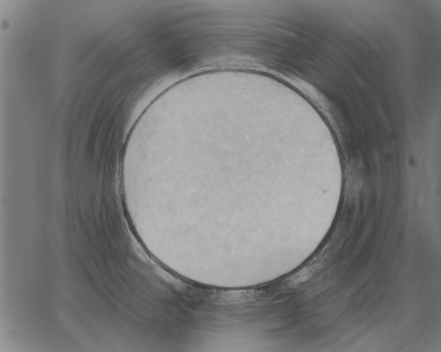 X0000062891390200602101730