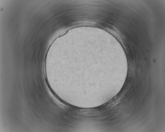 X0000062891391200602101730