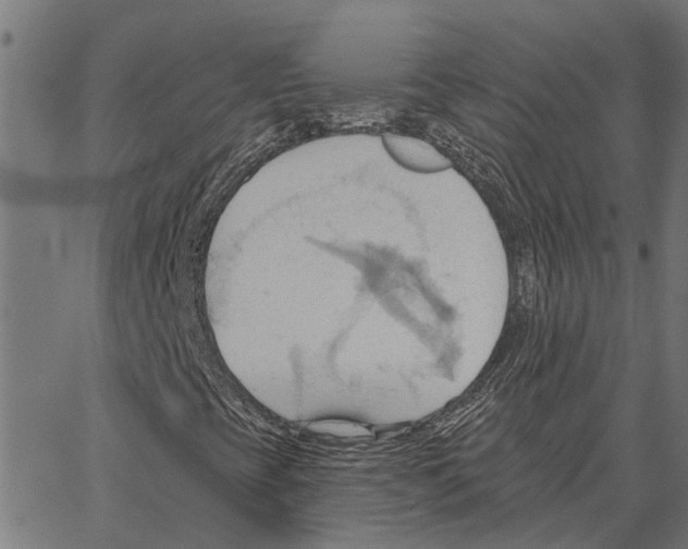 X0000062891393200602101729