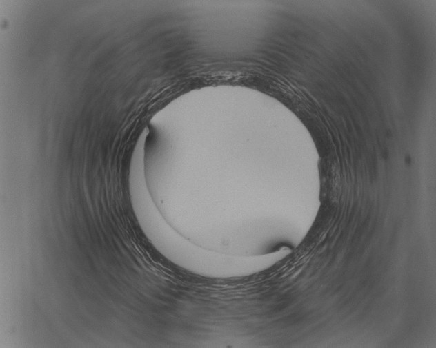 X0000062891394200602101729