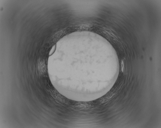 X0000062891395200602101729