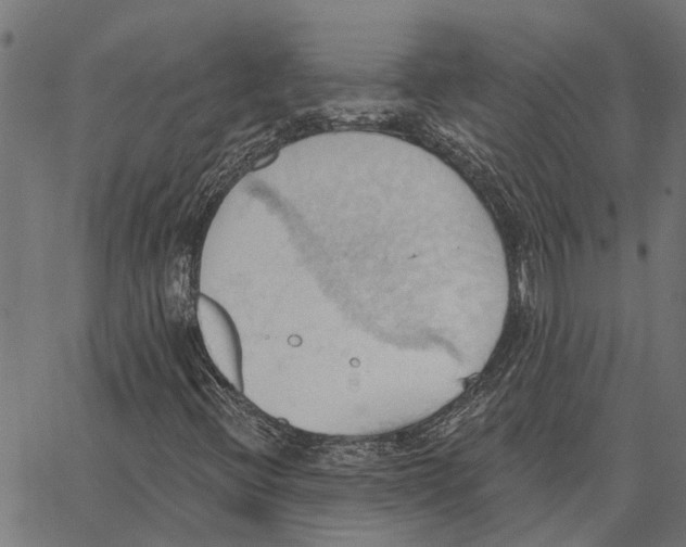 X0000062891396200602101730