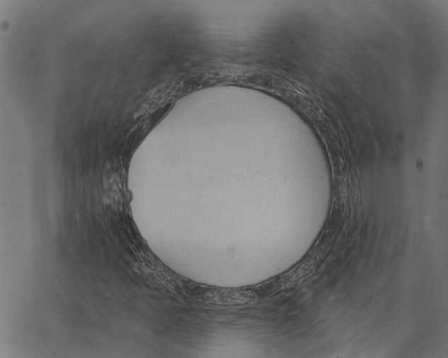 X0000062891397200602101730