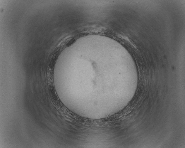 X0000062891399200602101730