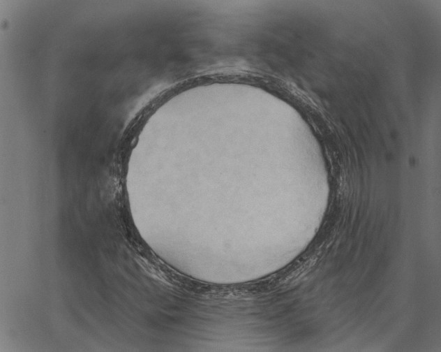 X0000062891400200602101730