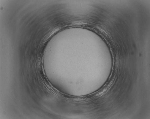 X0000062891401200602101730