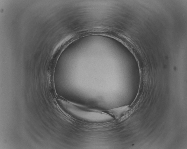 X0000062891402200602101730