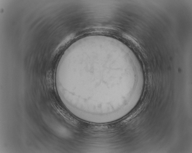 X0000062891403200602101730