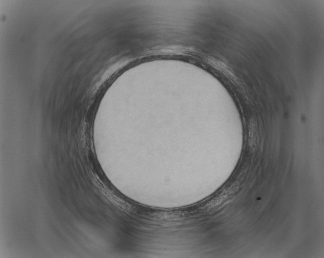 X0000062891404200602101730