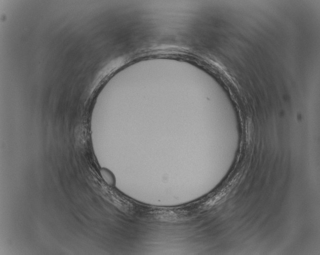 X0000062891405200602101730