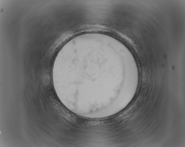 X0000062891407200602101730