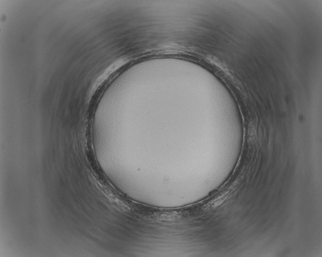 X0000062891410200602101730