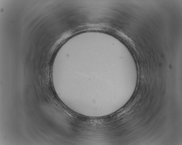 X0000062891411200602101730