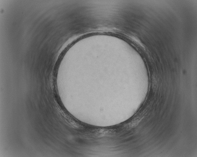 X0000062891412200602101730