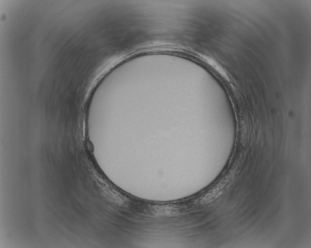 X0000062891413200602101730