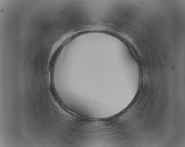 X0000062891414200602101730