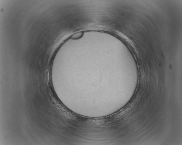 X0000062891415200602101730