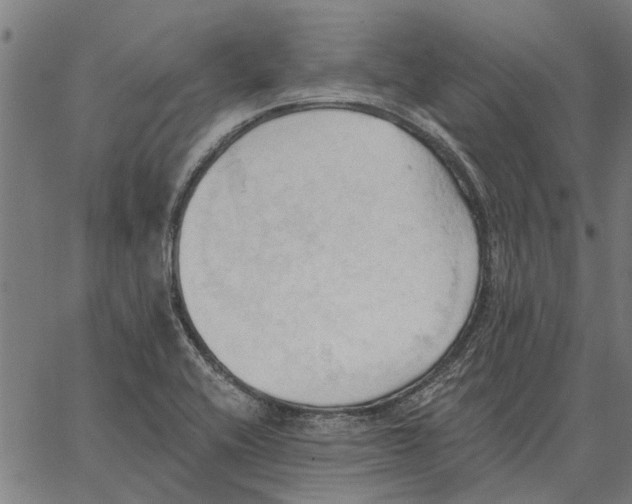 X0000062891416200602101730