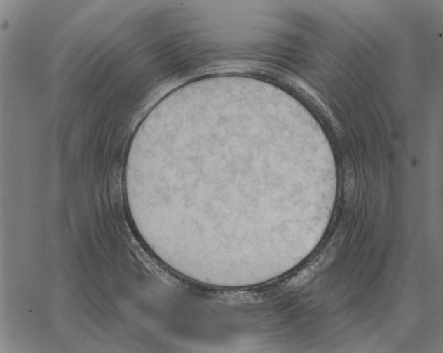 X0000062891417200602101730