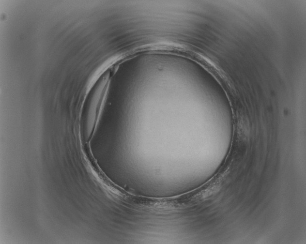 X0000062891418200602101730