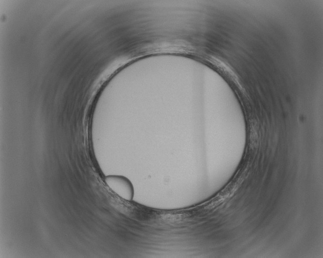 X0000062891419200602101730