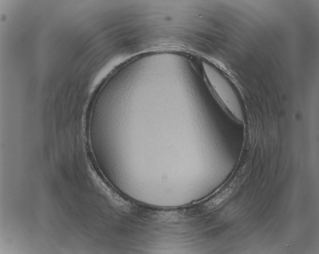 X0000062891422200602101730