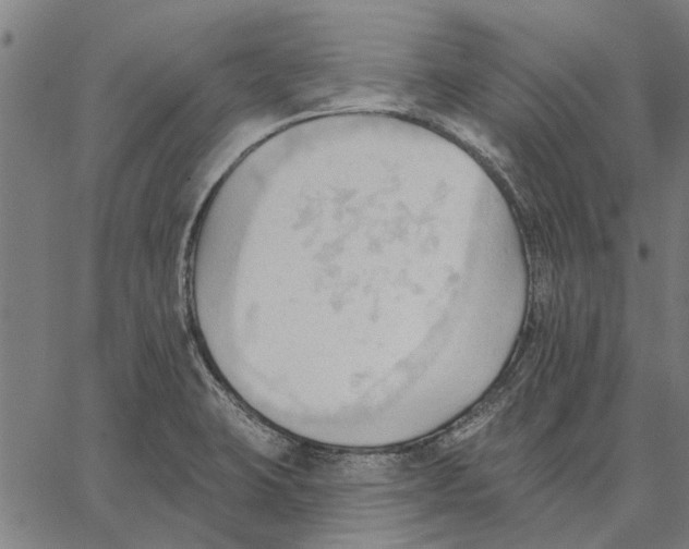 X0000062891423200602101730