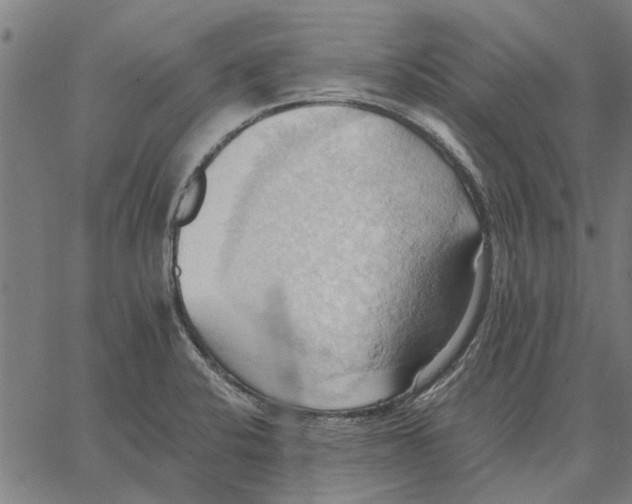 X0000062891424200602101730