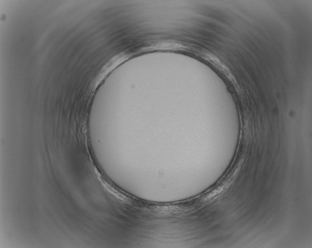 X0000062891425200602101730