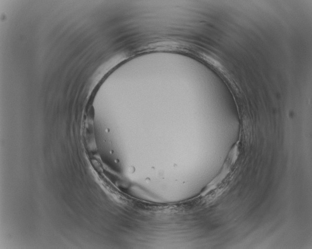 X0000062891426200602101730