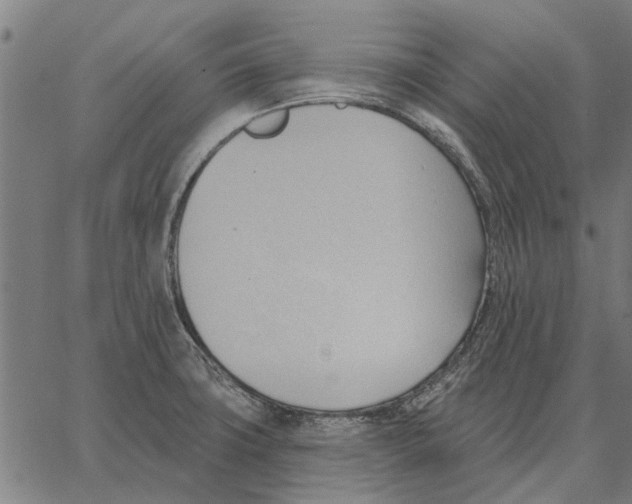 X0000062891427200602101730