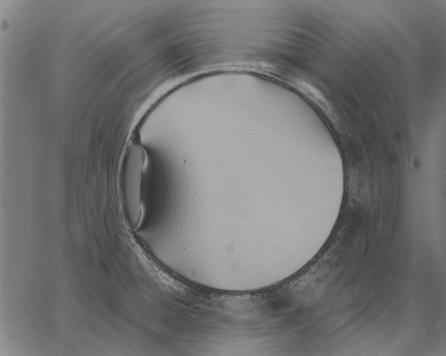 X0000062891428200602101730