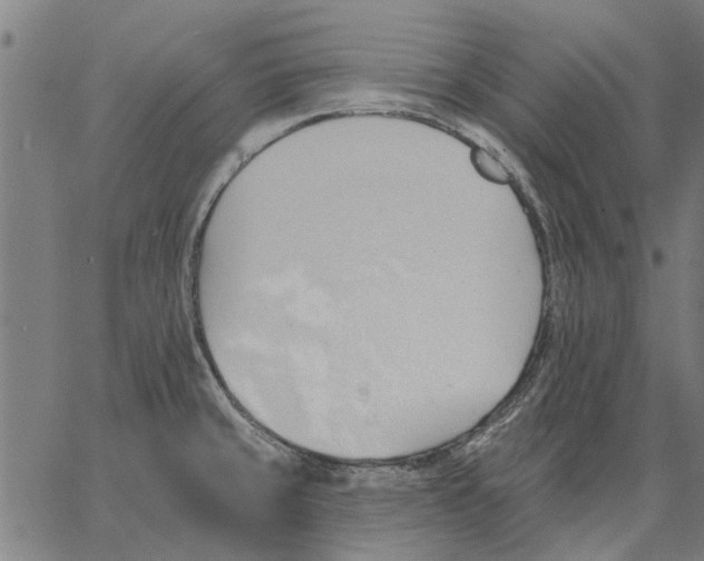 X0000062891429200602101730