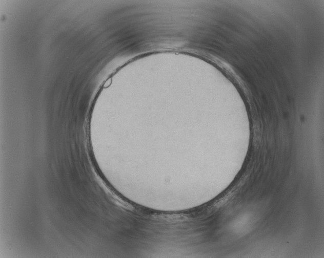 X0000062891432200602101730