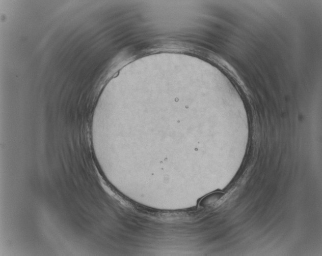 X0000062891433200602101730