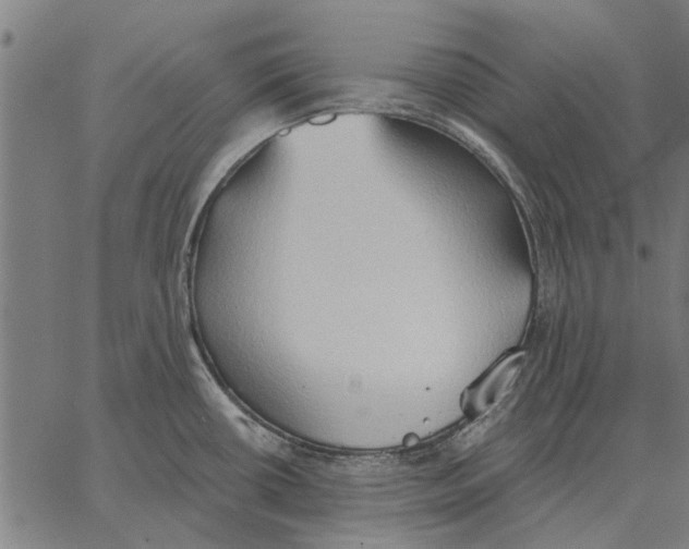 X0000062891434200602101730