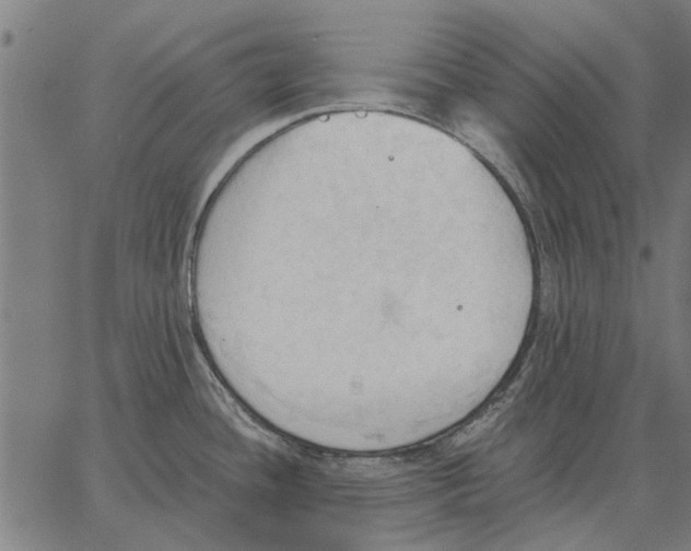 X0000062891436200602101730