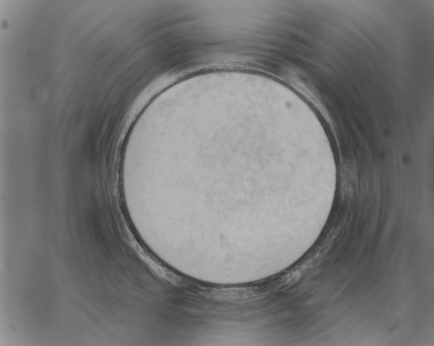 X0000062891437200602101730