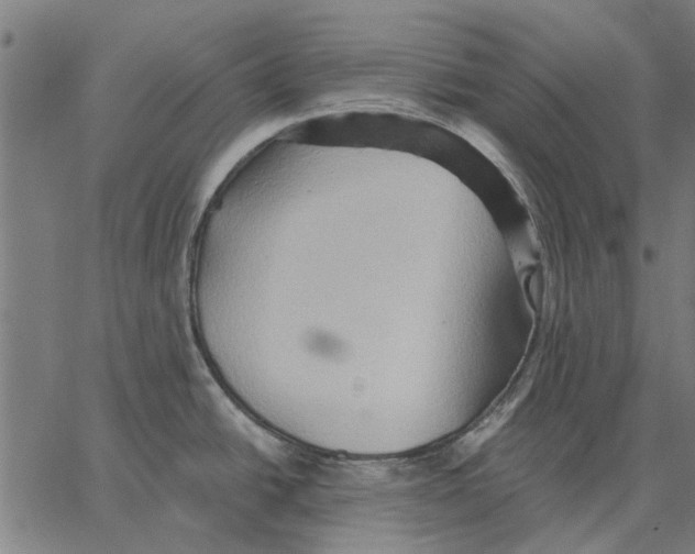 X0000062891438200602101730