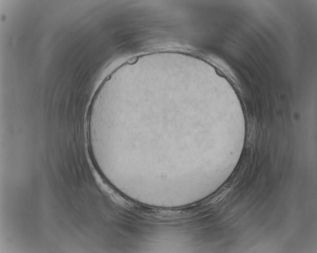 X0000062891439200602101730